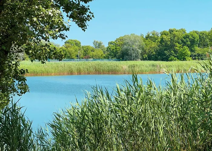 Campsite Siocamping Hazak Homes Siofok